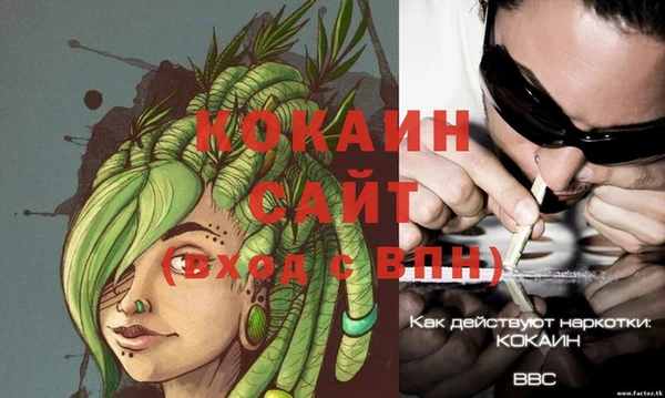 крисы Балахна
