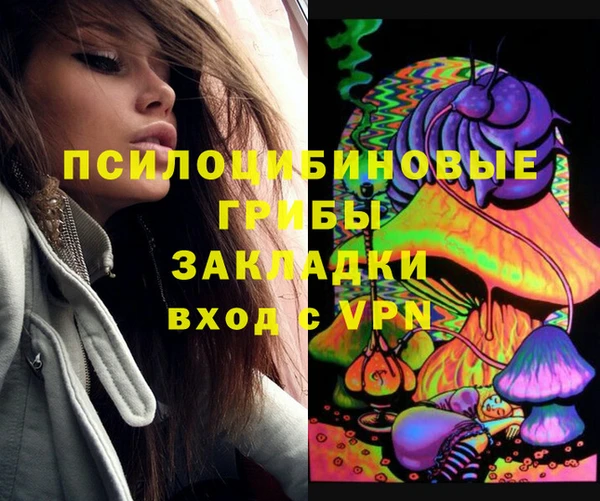 крисы Балахна
