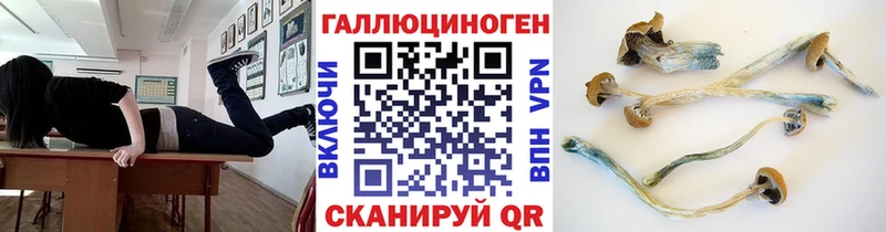 Псилоцибиновые грибы прущие грибы  Чухлома 
