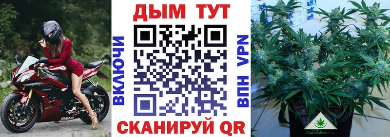Бошки Шишки Ganja  где купить   blacksprut   Чухлома 